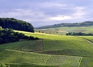 Vakantiehuis huren in Luxemburg